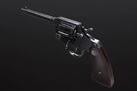 Police Revolver .38 (PBR, 4K)