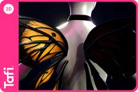 Nocturnal Fay Wings Female from Tafi