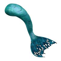 Mermaid Tail 02 Laying