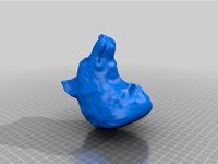 Canine Bust by Devin00172