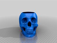 Human Skull Pot - With Drainage Hole and Saucer by leahmartinez