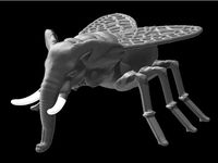 fly to elephant - aus einer Fliege, einen  Elephant gemacht... by Syzguru11