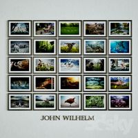 A series of pictures - Animals