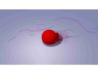 Impossiball by gnamp