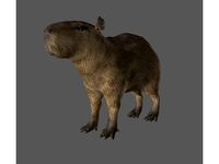 Minecraft Capybara - 3D model by KaerthModels (@KaerthModels