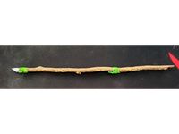Green Hell - Metal Spear by Almonds