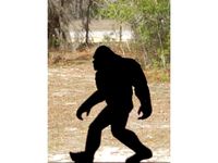 Big Foot Silhouette by vsp4dutchb