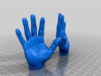 Hands by enoder