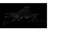 Crokek'Toeck Miniature by Plesiosaurus_123