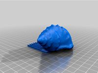 Shell Hair Comb by nKiMoChi