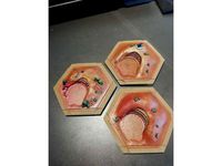 Catan Variations - Clay by Klokttem