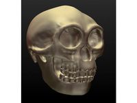 Flora the Hobbit (Homo floresiensis) by EvX