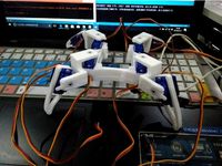 quardruped robot by ekinghao