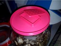 lid 3l by ivant1