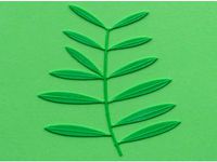 Olive tree branch by DB_oblikovanje