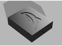 Dolphin Wii Bluetooth Module Case by Helios747