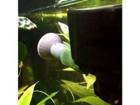 Aquarium Water Flow Diffuser by iChalix