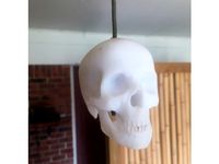 Skull rope pull knob by mostly_harmless