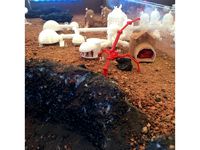 space base for March by spiderwan