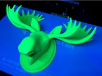 Moose Head on Plaque by rynil2000