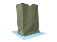 Brown Paper Lunch Bag by caross