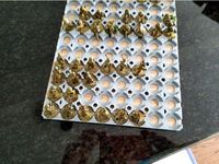 Miniature Figures Storage Tray for 25mm Bases by deweycat