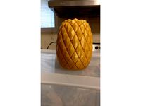 Pineapple Planter by Sprayed