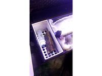 Seed Grower and Tool Holder for Rs-580 Ab Aquarium by cihanin