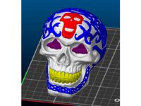 Celtic Skull for Multi Extrusion by PxT