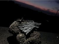 Stark Keychain - Winter is Coming by Alqu948