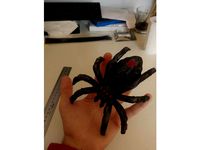 Geocache - Spider by bozzer123
