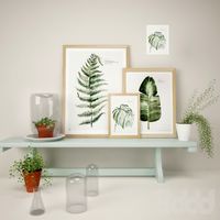 Botanic Urban