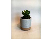 Two Tone Flower Pot by wildebeest123