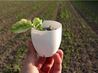Small flower pot by NikodemBartnik
