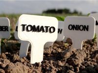 Vegetables signs/labels by NikodemBartnik