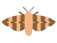 Flexi Moth Remix by Polymathic