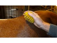 FuzNuz Horse Ergonomic Brushes by FuzNuz