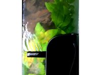 BioBox2 Flow Output Tube by CXylander