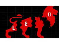 Lion braille neue by rfrosch