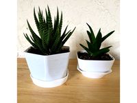 Customizable Polygonal Planter by Lucina