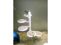 Aquarium plant step by technosvitman