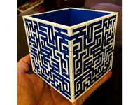 Maze Box (Open Topped) by retroviral