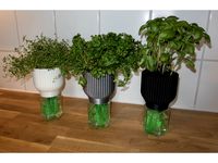 Selfwatering planter by Jakwit