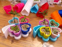 Love potted to a Four-leaf clover by JiGo