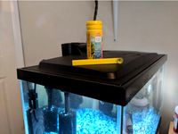 Customizable Fish Food Spoon by petergrace