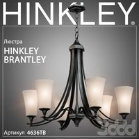 Люстра Hinkley Brantley 4636TB