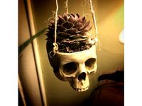 Skull Plant Hanger by Jelzic