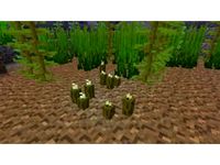 Minecraft sea pickle by Geopurot