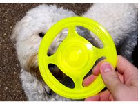 Frisbee by StuffByRyan