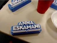 Anna Eskamani Campaign Logo in 3D by lubacious